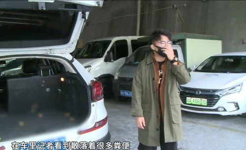 廣州 租車(chē)開(kāi)了一天總聞到異味,竟是后尾箱有糞便